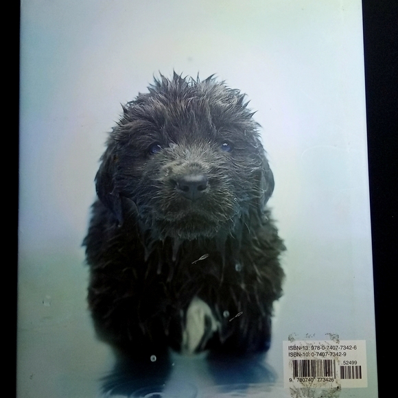 101 Adorable Dog Breeds Coffee Table Book Pup Hardback Covered Glossy Pictures - Picture 5 of 5